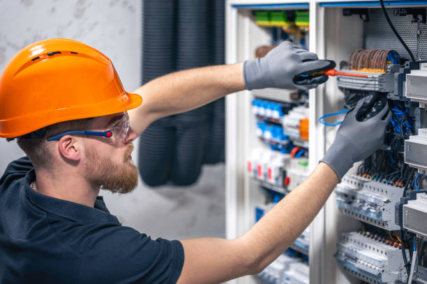 Best Electric Panel Repair  in Knob Noster, MO